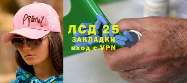 прущие грибы Михайлов