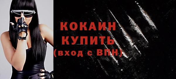прущие грибы Михайлов