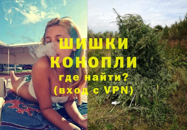 прущие грибы Михайлов