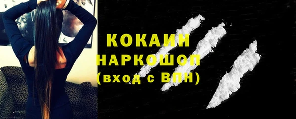 прущие грибы Михайлов
