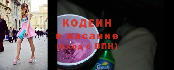прущие грибы Михайлов