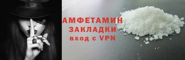 прущие грибы Михайлов