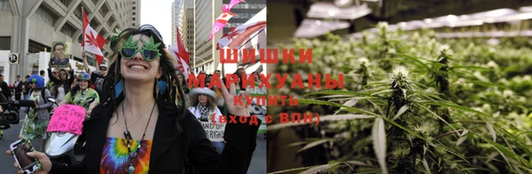 гашик Михайловка
