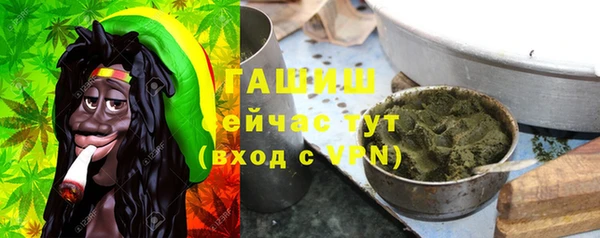 прущие грибы Михайлов