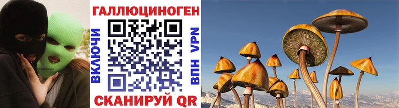Псилоцибиновые грибы Psilocybine cubensis  Купить закладки  Севастополь 